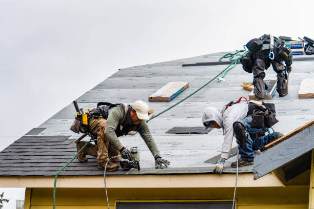 Professional Gutter Installation technician working in Hardwick, GA